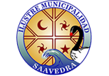 logo-saavedra